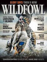 Wildfowl